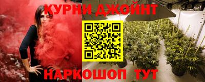 сатива Канаш